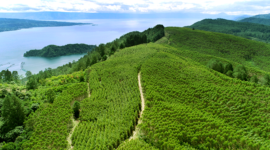 PT Toba Pulp Lestari. (Dok. Tobapulp.com)