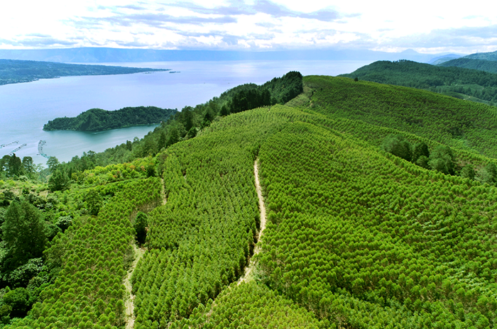 PT Toba Pulp Lestari. (Dok. Tobapulp.com)