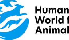 Humane World for Animals